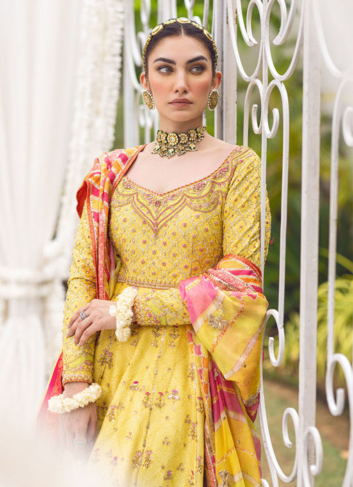 Bridal Mehndi Dress Hamtramck Michigan USA Pakistani Mehndi Dresses