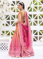 Naira hot sale in lehenga