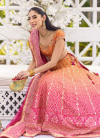 Naira ghagra clearance choli