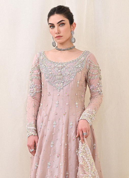 Pakistani Wedding Guest Dresses Haywar California USA Latest Velvet Dress  Designs with Price