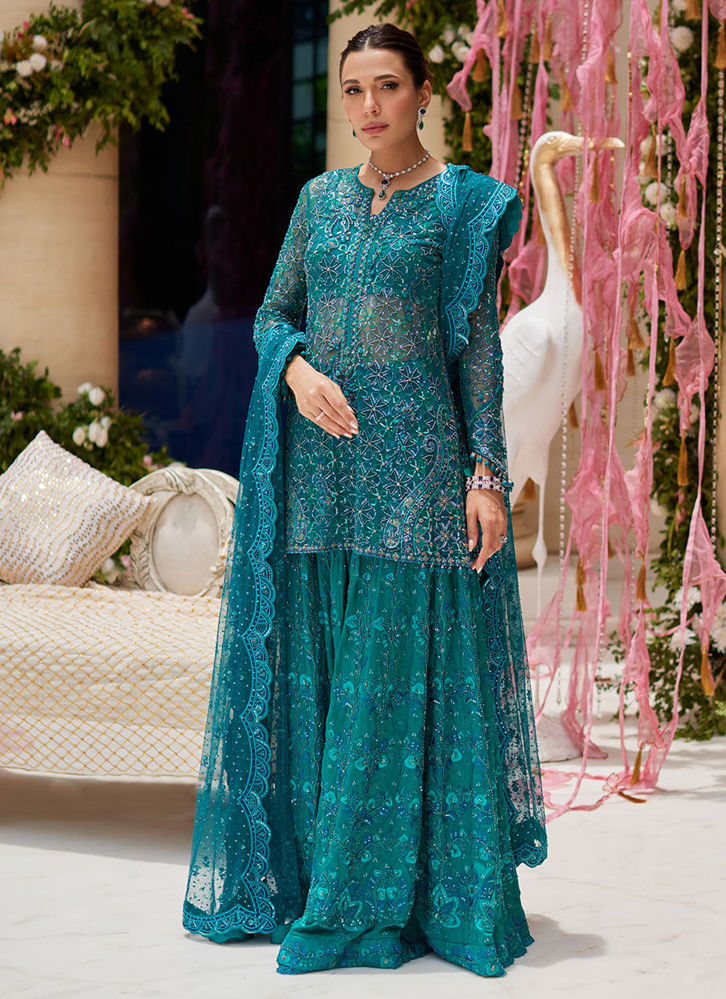 Long pakistani frocks online